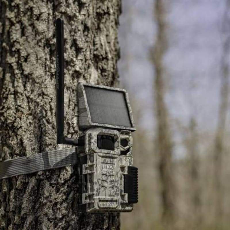 Spypoint Link Micro Solar LTE Vildtkamera 10MP 12V Camouflage monteret på et træ